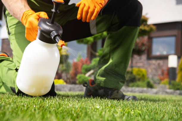 Best Wildlife Control Services  in Hanamaulu, HI