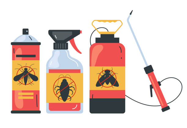 Best Flea Control Services  in Hanamaulu, HI