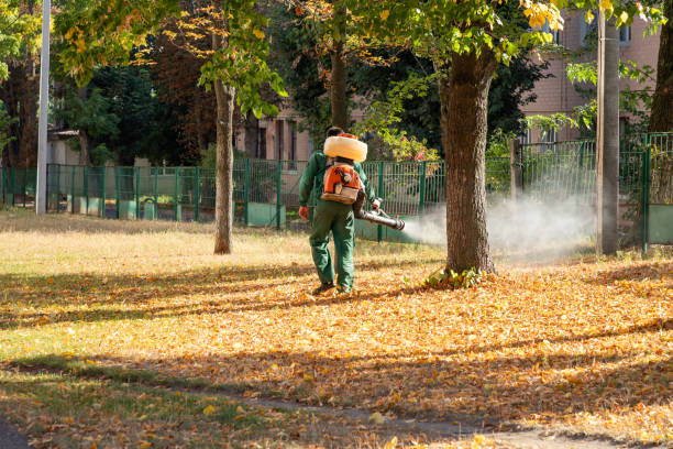 Best Affordable Pest Control Services  in Hanamaulu, HI